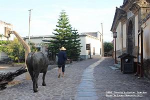 006 - Tuanshan